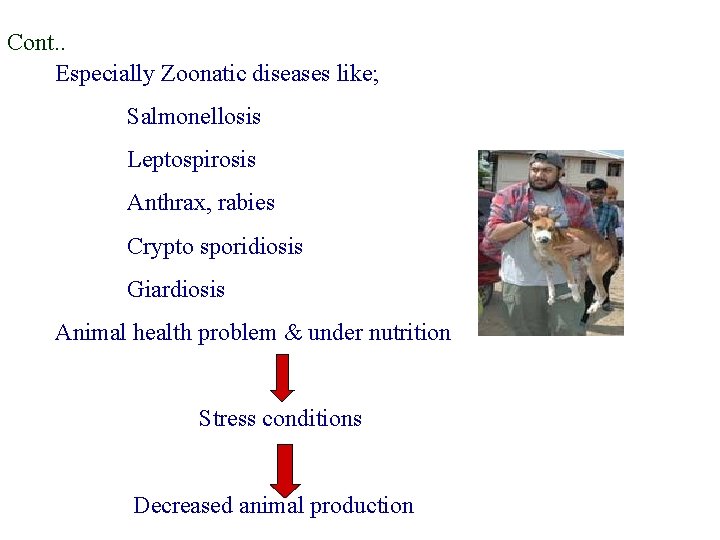 Cont. . Especially Zoonatic diseases like; Salmonellosis Leptospirosis Anthrax, rabies Crypto sporidiosis Giardiosis Animal