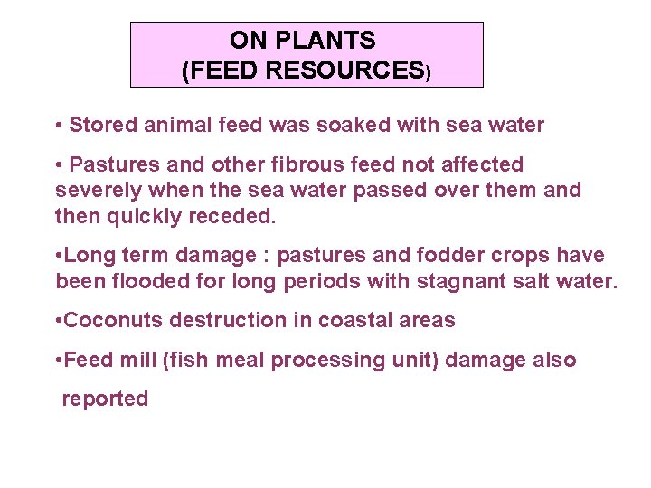 ON PLANTS (FEED RESOURCES) • Stored animal feed was soaked with sea water •