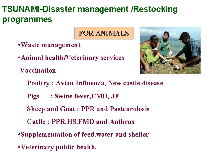 TSUNAMI-Disaster management /Restocking programmes FOR ANIMALS • Waste management • Animal health/Veterinary services Vaccination