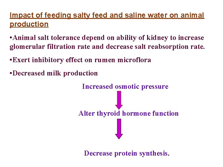 Impact of feeding salty feed and saline water on animal production • Animal salt