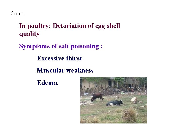Cont. . In poultry: Detoriation of egg shell quality Symptoms of salt poisoning :