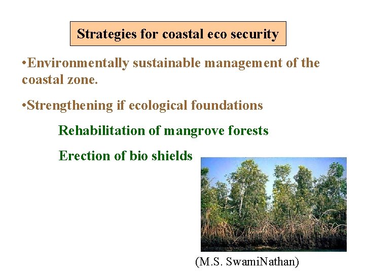 Strategies for coastal eco security • Environmentally sustainable management of the coastal zone. •