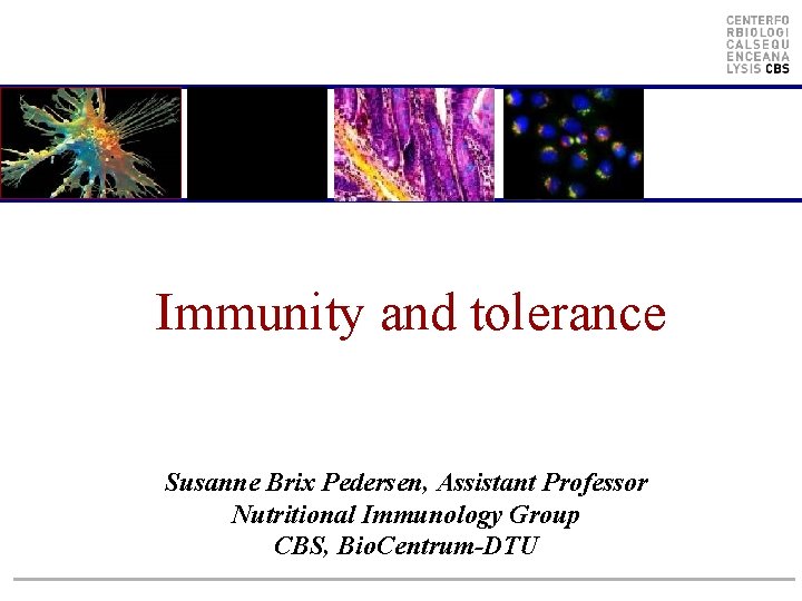 Immunity and tolerance Susanne Brix Pedersen, Assistant Professor Nutritional Immunology Group CBS, Bio. Centrum-DTU