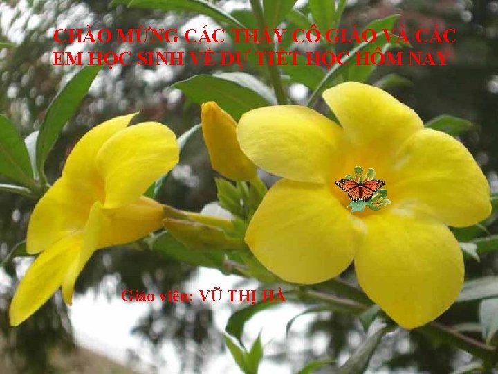 CHÀO MỪNG CÁC THẦY CÔ GIÁO VÀ CÁC EM HỌC SINH VỀ DỰ TIẾT