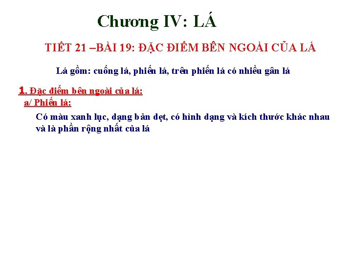 Chương IV: LÁ TIẾT 21 –BÀI 19: ĐẶC ĐIỂM BÊN NGOÀI CỦA LÁ Lá