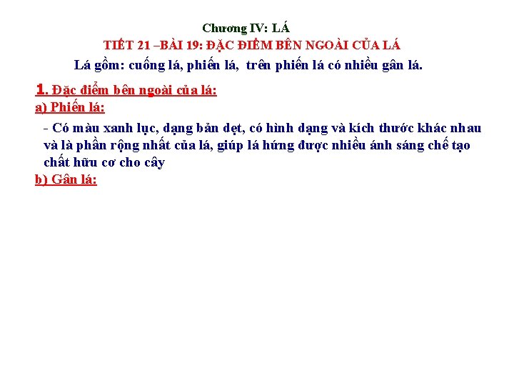 Chương IV: LÁ TIẾT 21 –BÀI 19: ĐẶC ĐIỂM BÊN NGOÀI CỦA LÁ Lá