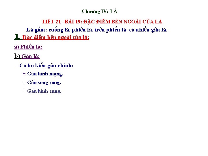 Chương IV: LÁ TIẾT 21 –BÀI 19: ĐẶC ĐIỂM BÊN NGOÀI CỦA LÁ Lá