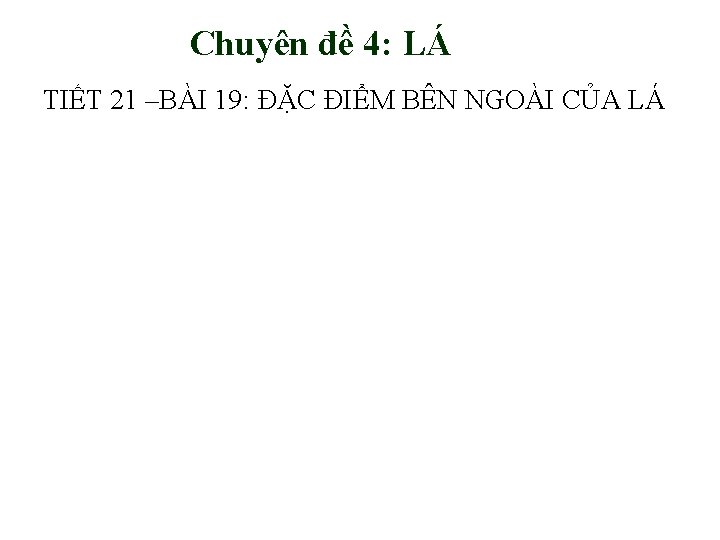 Chuyên đề 4: LÁ TIẾT 21 –BÀI 19: ĐẶC ĐIỂM BÊN NGOÀI CỦA LÁ