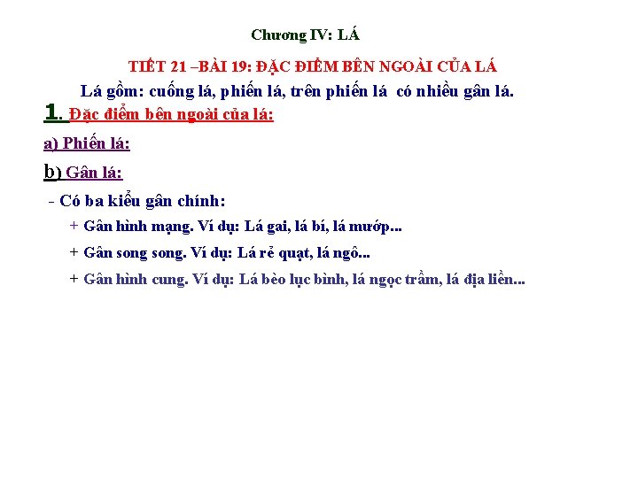 Chương IV: LÁ TIẾT 21 –BÀI 19: ĐẶC ĐIỂM BÊN NGOÀI CỦA LÁ Lá