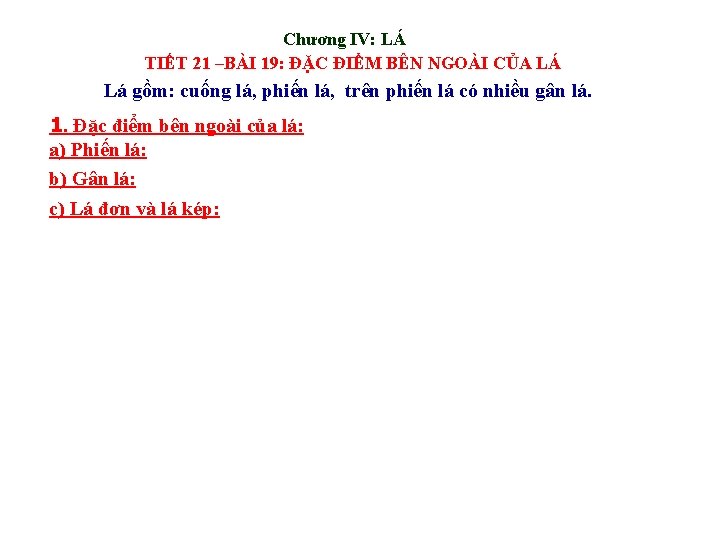 Chương IV: LÁ TIẾT 21 –BÀI 19: ĐẶC ĐIỂM BÊN NGOÀI CỦA LÁ Lá