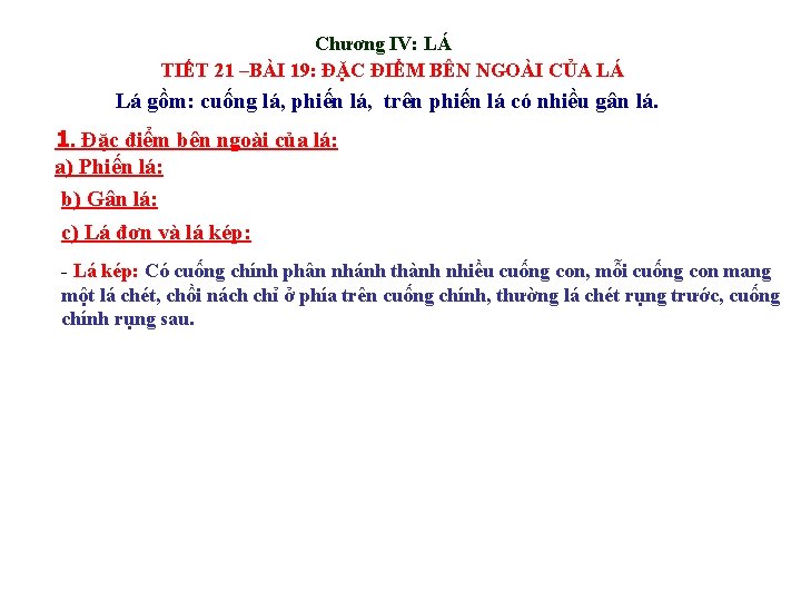 Chương IV: LÁ TIẾT 21 –BÀI 19: ĐẶC ĐIỂM BÊN NGOÀI CỦA LÁ Lá