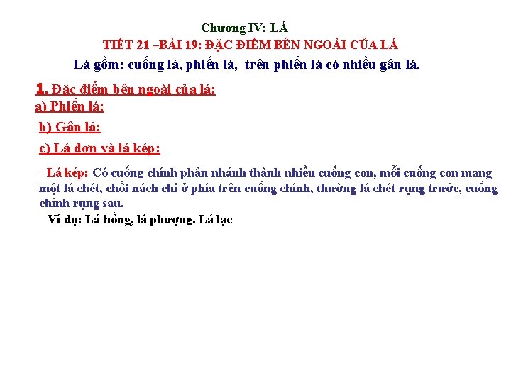 Chương IV: LÁ TIẾT 21 –BÀI 19: ĐẶC ĐIỂM BÊN NGOÀI CỦA LÁ Lá