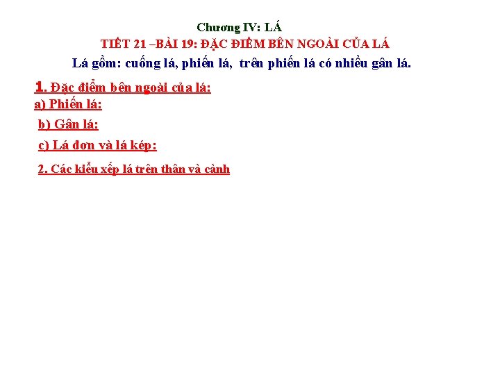 Chương IV: LÁ TIẾT 21 –BÀI 19: ĐẶC ĐIỂM BÊN NGOÀI CỦA LÁ Lá