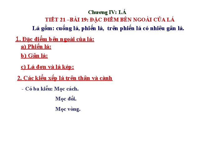 Chương IV: LÁ TIẾT 21 –BÀI 19: ĐẶC ĐIỂM BÊN NGOÀI CỦA LÁ Lá