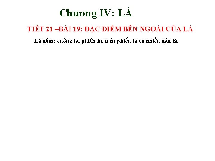 Chương IV: LÁ TIẾT 21 –BÀI 19: ĐẶC ĐIỂM BÊN NGOÀI CỦA LÁ Lá