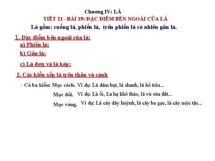 Chương IV: LÁ TIẾT 21 –BÀI 19: ĐẶC ĐIỂM BÊN NGOÀI CỦA LÁ Lá