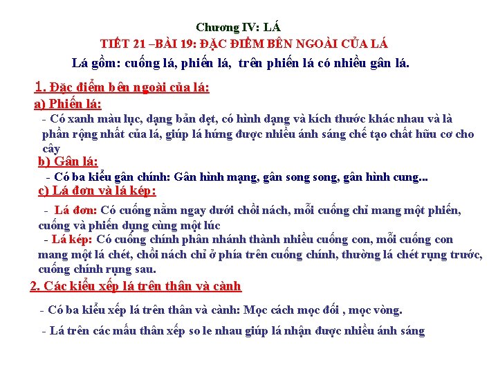 Chương IV: LÁ TIẾT 21 –BÀI 19: ĐẶC ĐIỂM BÊN NGOÀI CỦA LÁ Lá