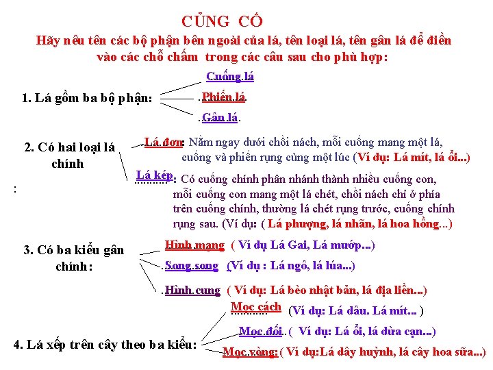 CỦNG CỐ Hãy nêu tên các bộ phận bên ngoài của lá, tên loại