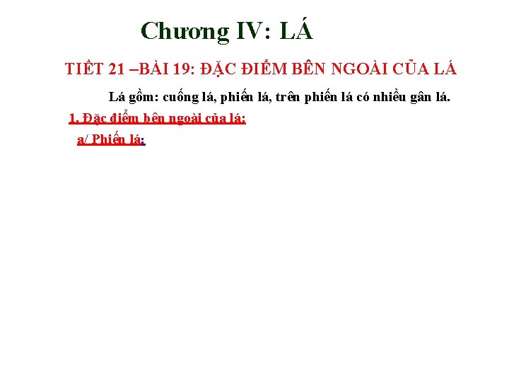 Chương IV: LÁ TIẾT 21 –BÀI 19: ĐẶC ĐIỂM BÊN NGOÀI CỦA LÁ Lá