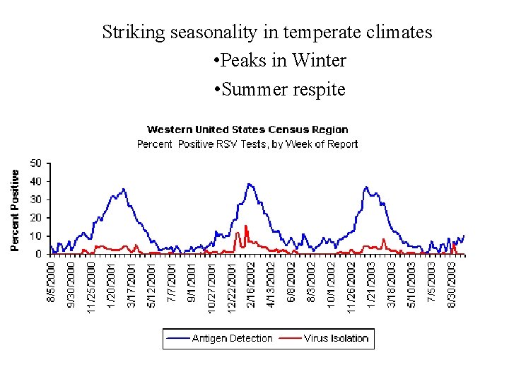 Striking seasonality in temperate climates • Peaks in Winter • Summer respite MMWR Striking seasonality in temperate climates • Peaks in Winter • Summer respite MMWR