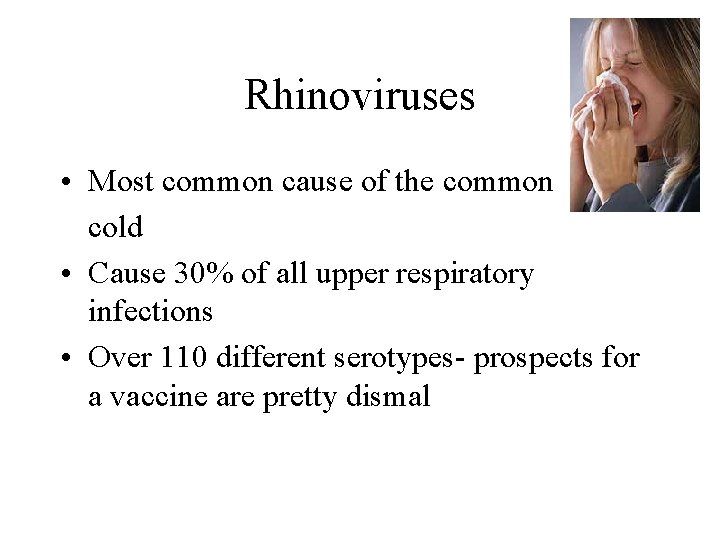 Rhinoviruses • Most common cause of the common cold • Cause 30% of all Rhinoviruses • Most common cause of the common cold • Cause 30% of all