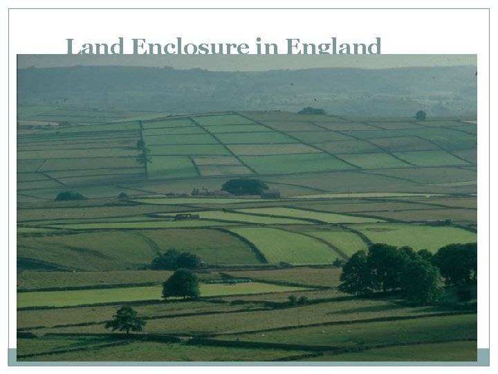 Land Enclosure in England 