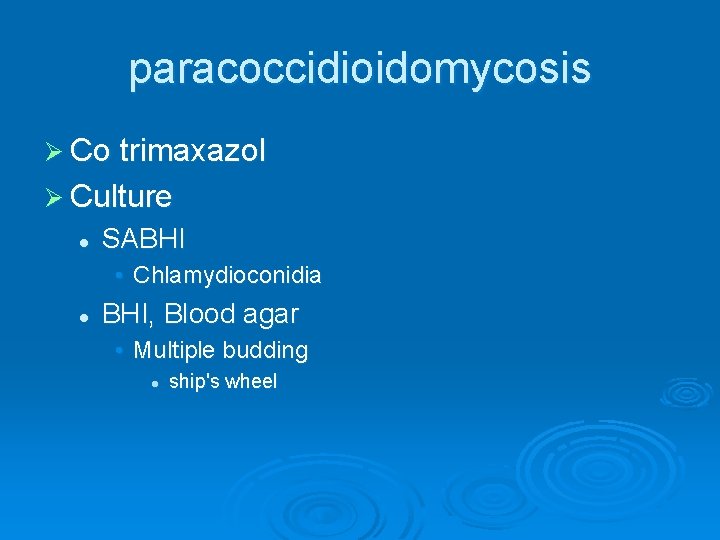paracoccidioidomycosis Ø Co trimaxazol Ø Culture l SABHI • Chlamydioconidia l BHI, Blood agar