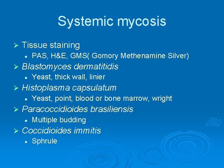 Systemic mycosis Ø Tissue staining l Ø Blastomyces dermatitidis l Ø Yeast, point, blood