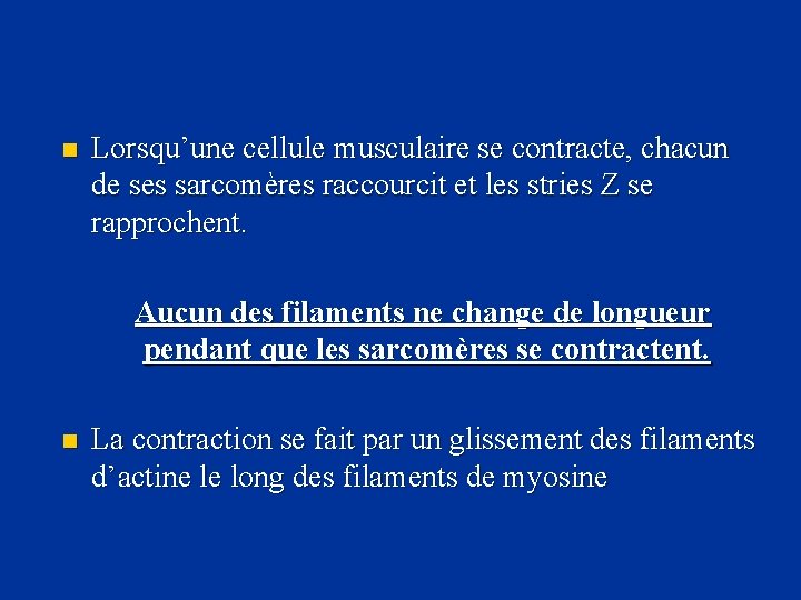 n Lorsqu’une cellule musculaire se contracte, chacun de ses sarcomères raccourcit et les stries
