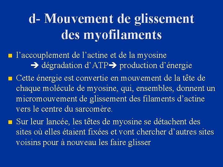d- Mouvement de glissement des myofilaments n n n l’accouplement de l’actine et de