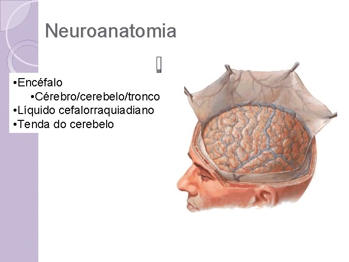 Neuroanatomia • Encéfalo • Cérebro/cerebelo/tronco • Líquido cefalorraquiadiano • Tenda do cerebelo 