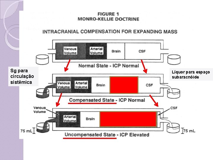 Sg para circulação sistêmica Líquor para espaço subaracnóide 