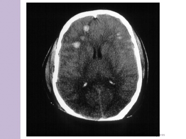 Prof. Fernando Ramos Gonçalves 