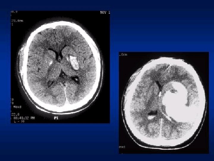 Prof. Fernando Ramos Gonçalves 