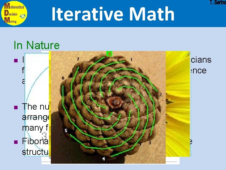 Iterative Math In Nature n In the middle of the 19 th century, mathematicians