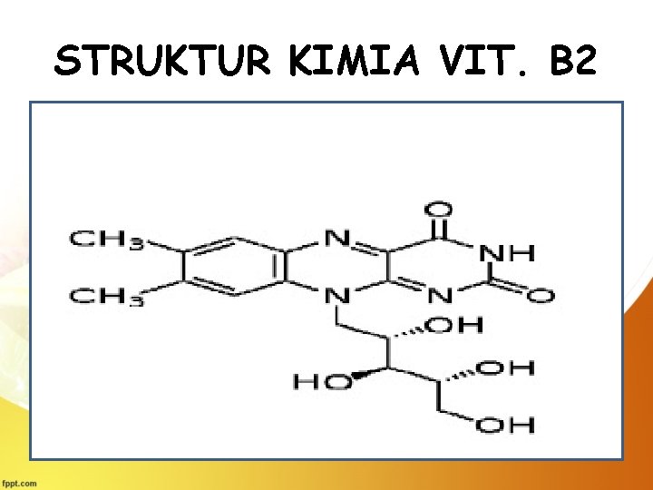 STRUKTUR KIMIA VIT. B 2 