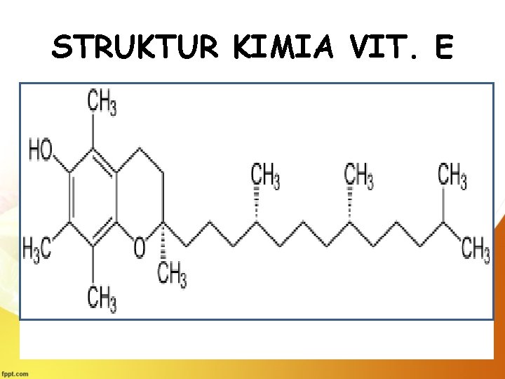 STRUKTUR KIMIA VIT. E 