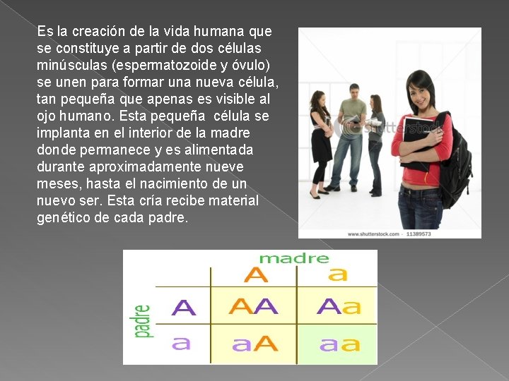 Es la creación de la vida humana que se constituye a partir de dos