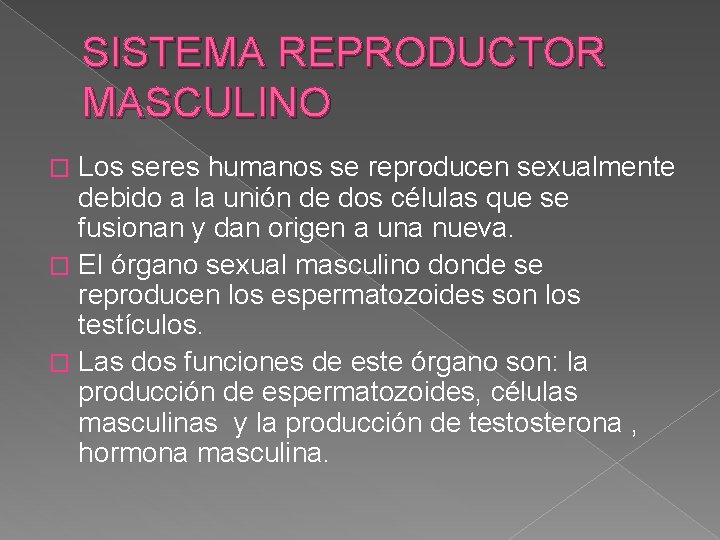 SISTEMA REPRODUCTOR MASCULINO Los seres humanos se reproducen sexualmente debido a la unión de