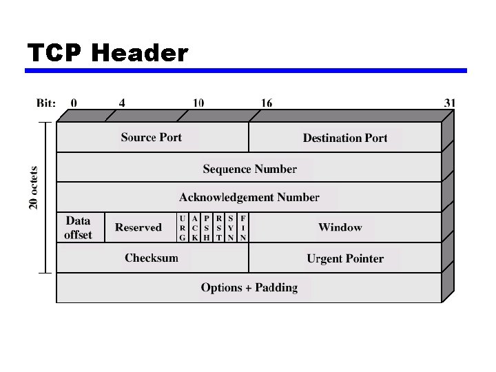 TCP Header 