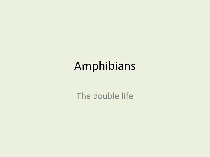 Amphibians The double life 