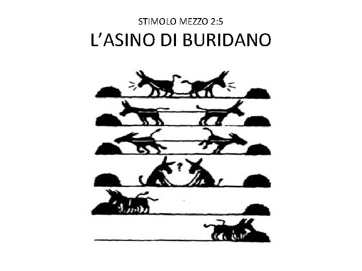 STIMOLO MEZZO 2: 5 L’ASINO DI BURIDANO 