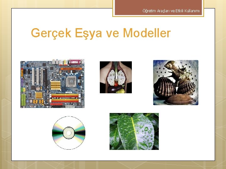 Öğretim Araçları ve Etkili Kullanımı Gerçek Eşya ve Modeller 