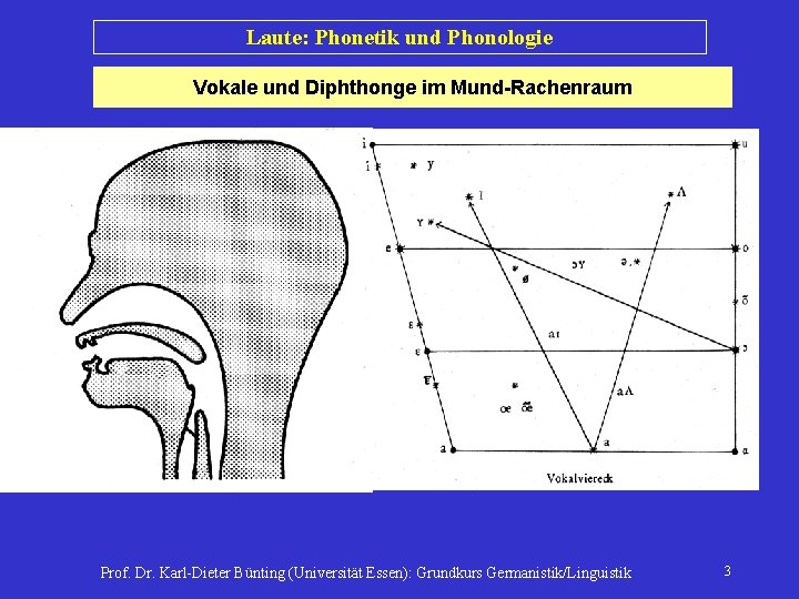 Laute: Phonetik und Phonologie Vokale und Diphthonge im Mund-Rachenraum Prof. Dr. Karl-Dieter Bünting (Universität