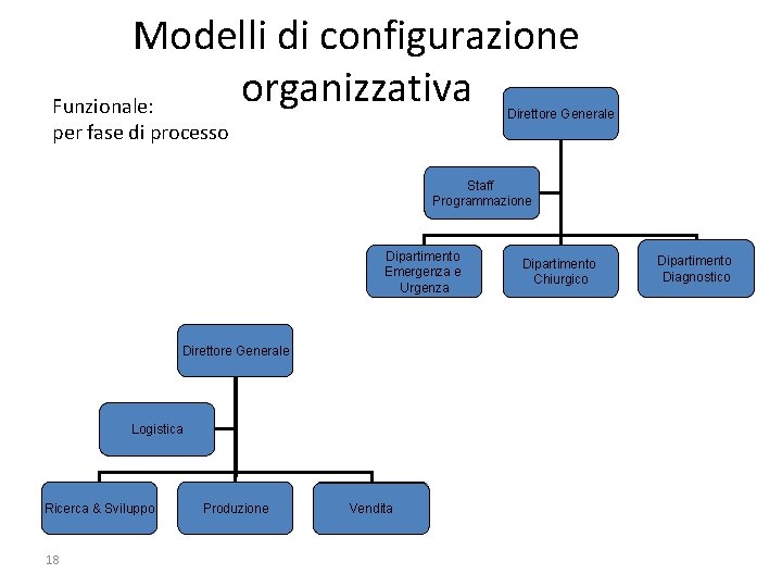 Modelli di configurazione organizzativa Funzionale: Direttore Generale per fase di processo Staff Programmazione Dipartimento