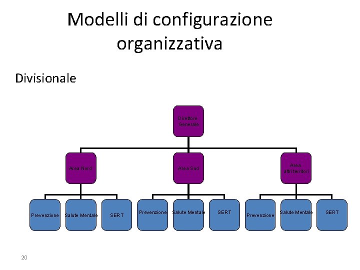 Modelli di configurazione organizzativa Divisionale Direttore Generale Area Nord Prevenzione 20 Salute Mentale Area