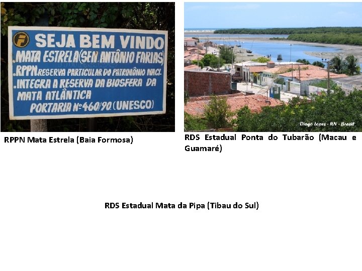 RPPN Mata Estrela (Baia Formosa) RDS Estadual Ponta do Tubarão (Macau e Guamaré) RDS