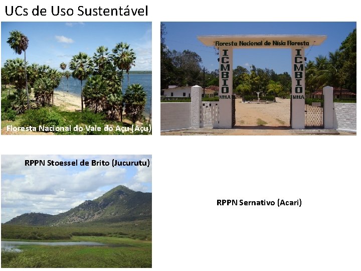 UCs de Uso Sustentável Floresta Nacional do Vale do Açu (Açu) RPPN Stoessel de