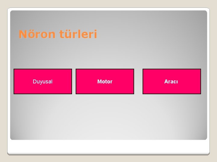 Nöron türleri Duyusal Motor Aracı 