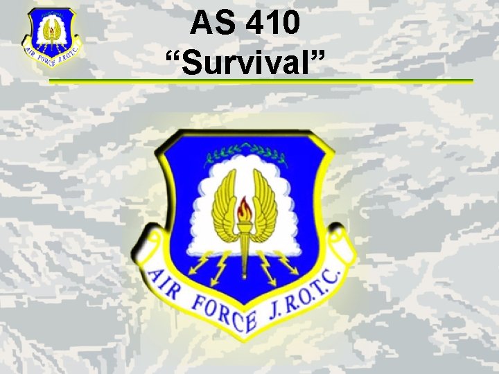 AS 410 “Survival” 
